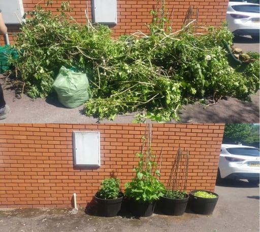 Garden Waste Clearance Three Counties